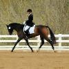 Kristen and Briley at the VA Horse Trials Preliminary B Division Championships, October 2011 - they won!