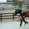 Briley and I at the 2nd jog at our 1st CCI*.